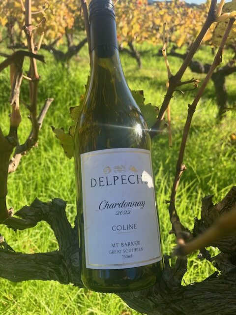 Delpeché Wines ‘Coline’ Chardonnay