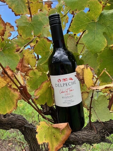 Cabernet Franc
